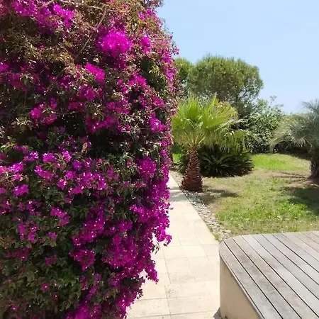 Confortable En Bord De Avec Piscine Bandol